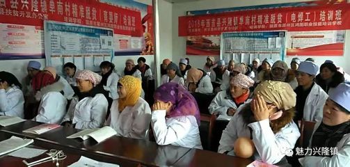 兴隆镇单南村 育婴师技能培训助力建档立卡贫困户就业增收